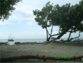 /album/fotogaleria%3a-%c2%a1bienvenidos-a-nuestro-nuevo-sitio-web-viaja-por-colombia/imagen7-jpg2/
